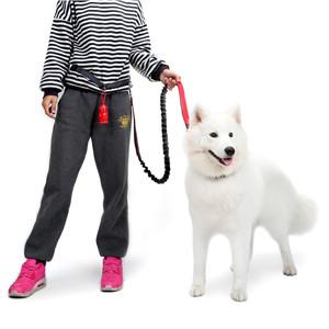 Hands Free Dog Leash,Dog Leash,Dog Lead,Dog Running Leash