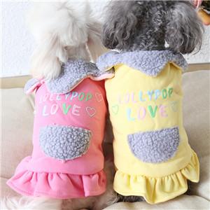 Nice Winter Grooming Dress For Dogs